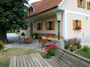  Farm Stay Rotovnik - Plesnik  Словень-Градец
